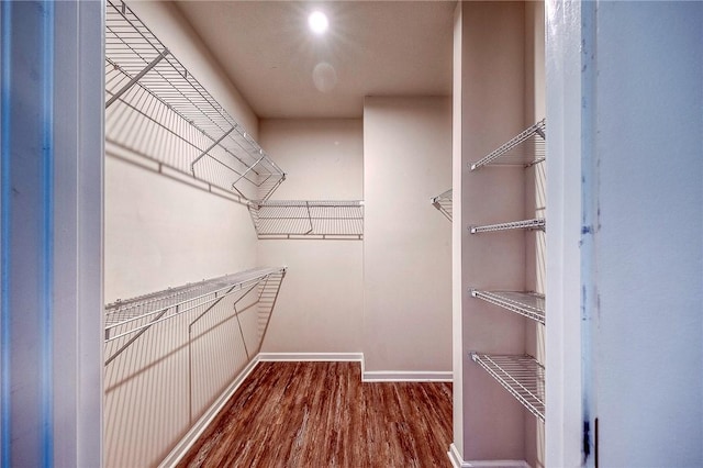 walk in closet featuring hardwood / wood-style flooring