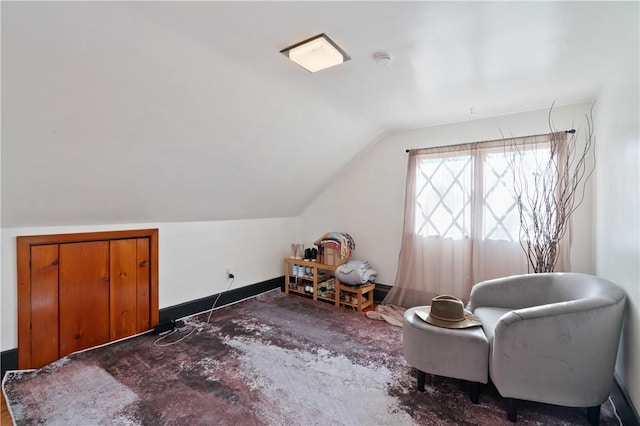 bonus room with lofted ceiling