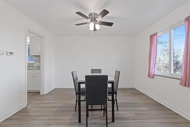 dining area with ceiling fan and light wood-type flooring