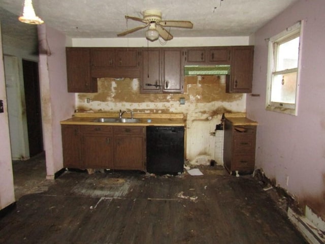 kitchen with ceiling fan, sink, black dishwasher, and dark wood-type flooring