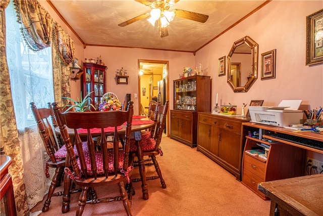 carpeted dining space with ceiling fan and crown molding