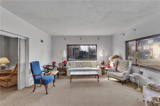 living room with a textured ceiling and light carpet