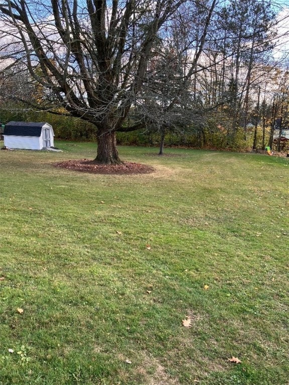 view of yard featuring a shed