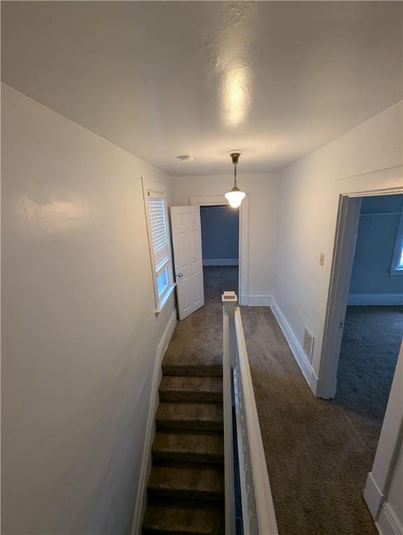 stairway with carpet