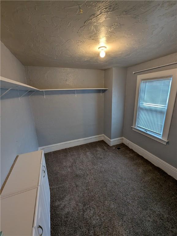 walk in closet featuring carpet flooring and vaulted ceiling