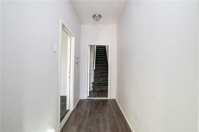 corridor featuring dark hardwood / wood-style floors