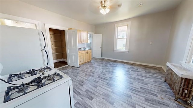 kitchen featuring light brown cabinets, white appliances, radiator, ceiling fan, and light wood-type flooring