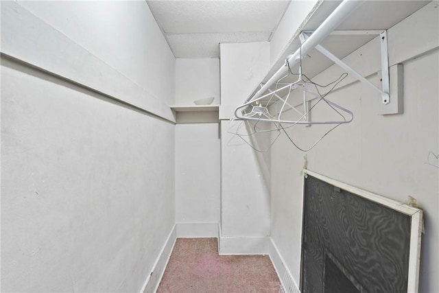 spacious closet with carpet flooring