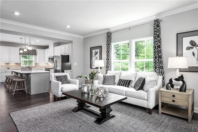 living room with a healthy amount of sunlight, dark hardwood / wood-style flooring, and crown molding