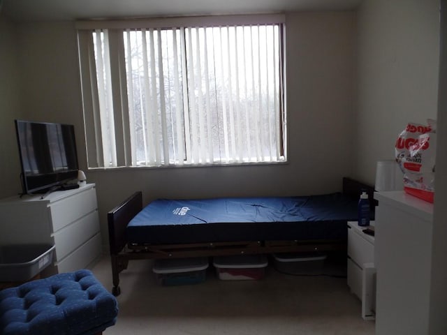 1150 Bower Hill Rd Unit 501B, Mt Lebanon, PA 15243 - photo 7