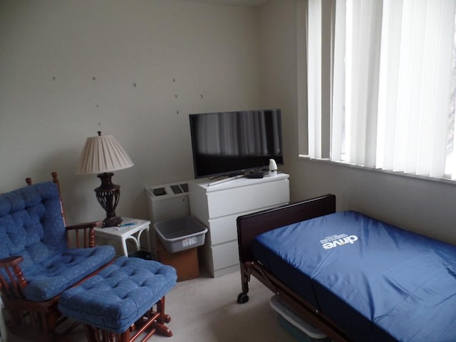 bedroom with carpet floors