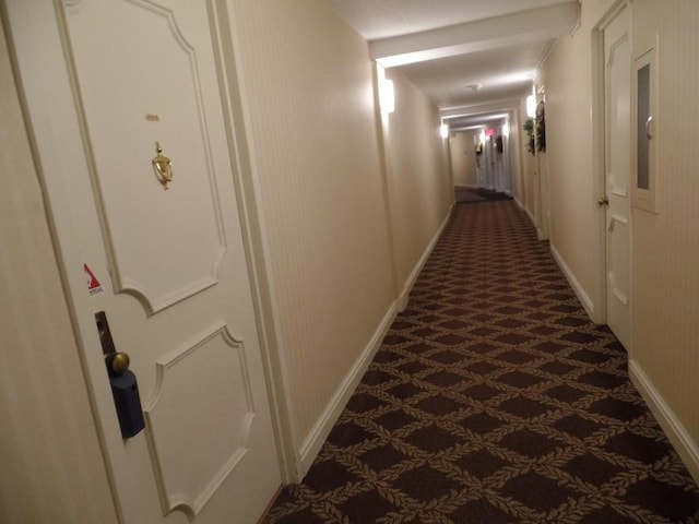 hallway featuring carpet flooring