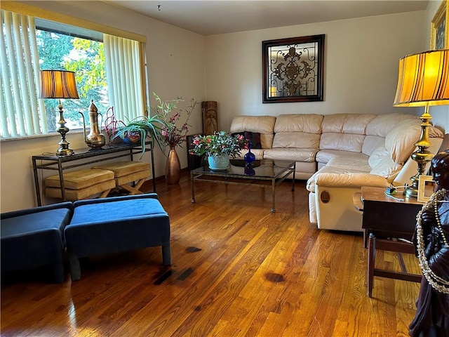 living room with wood-type flooring