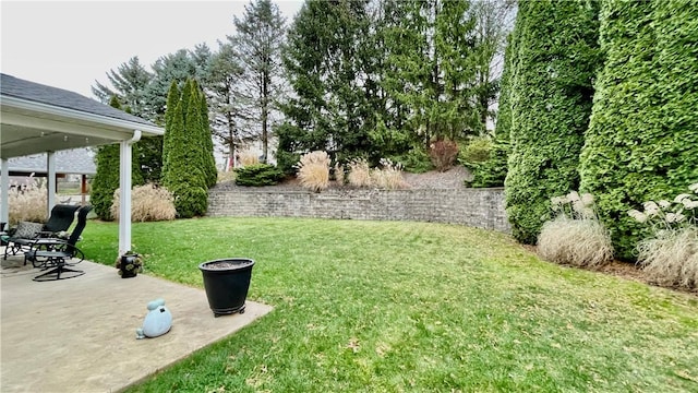 view of yard with a patio area