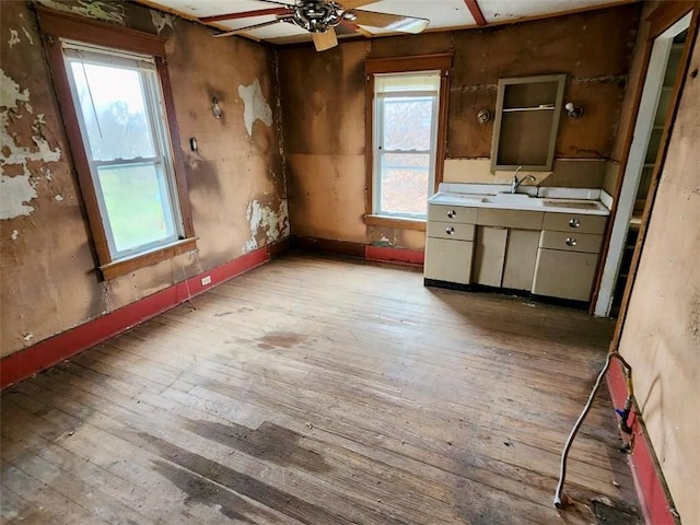 interior space featuring ceiling fan, light hardwood / wood-style flooring, and sink