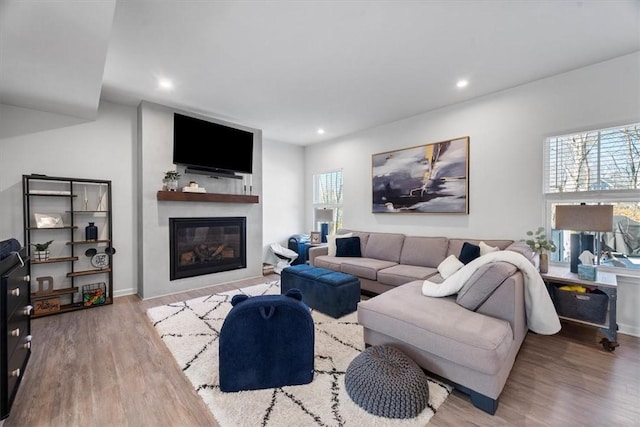 living room featuring a large fireplace and hardwood / wood-style flooring