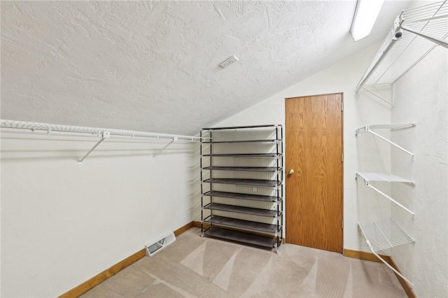 walk in closet with light colored carpet