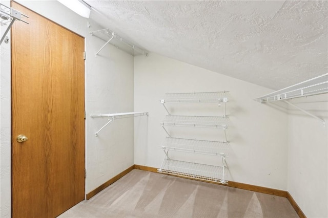 walk in closet with carpet floors