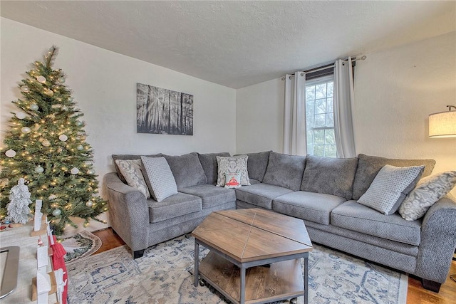 living room featuring a textured ceiling and light hardwood / wood-style flooring