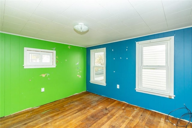 spare room featuring wood-type flooring