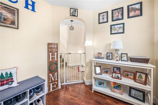 hall featuring dark wood-type flooring