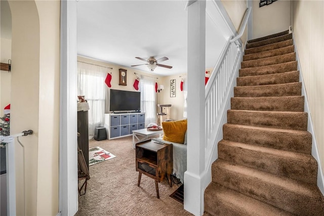 stairs featuring carpet flooring and ceiling fan