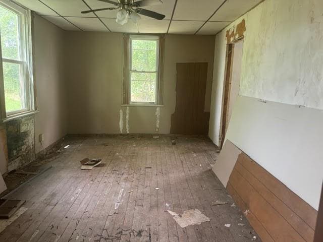 misc room featuring a paneled ceiling, a wealth of natural light, ceiling fan, and light wood-type flooring