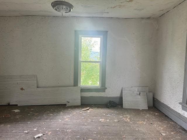 empty room featuring hardwood / wood-style floors