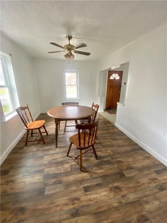 dining room featuring ceiling fan and dark wood-type flooring