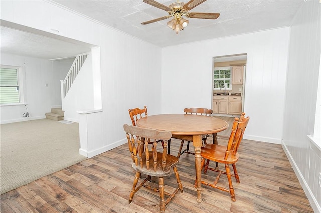 dining space featuring light wood-type flooring, ornamental molding, a textured ceiling, ceiling fan, and sink