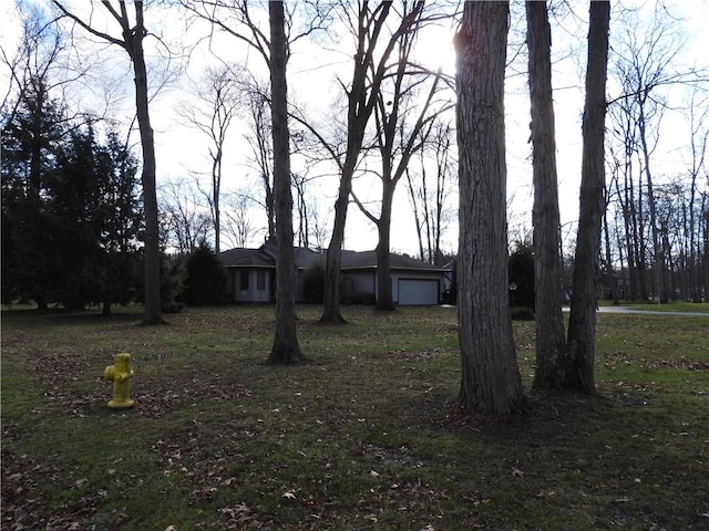 view of ranch-style home