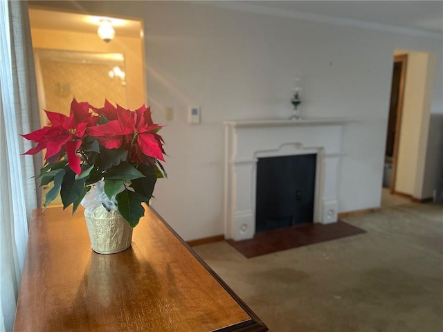 carpeted living area featuring a fireplace with flush hearth