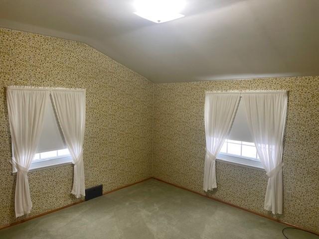 empty room featuring lofted ceiling and carpet