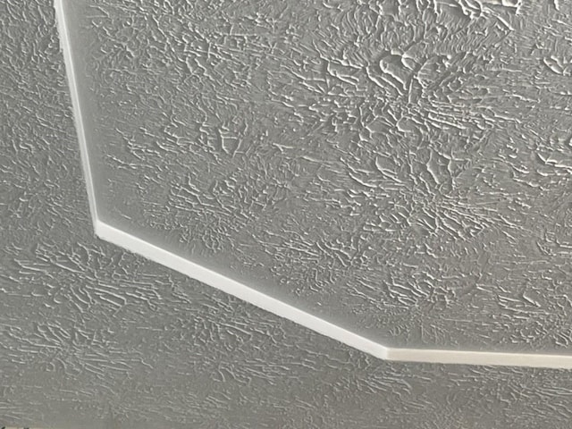 view of details