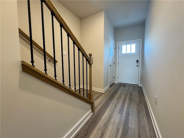 foyer entrance featuring dark hardwood / wood-style flooring