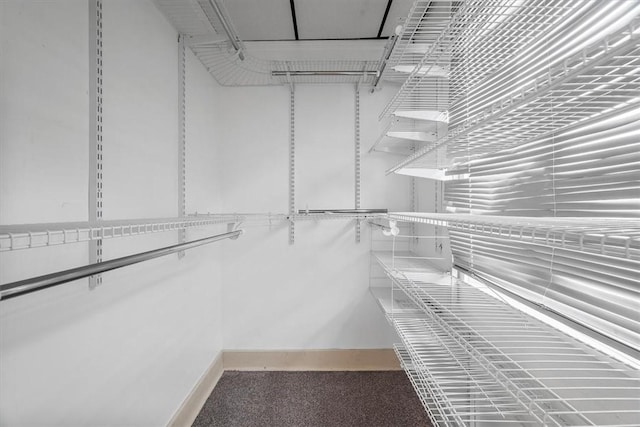 spacious closet with carpet