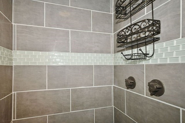 interior details with tiled shower