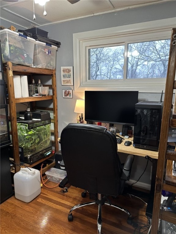 home office with hardwood / wood-style flooring, ceiling fan, and a healthy amount of sunlight