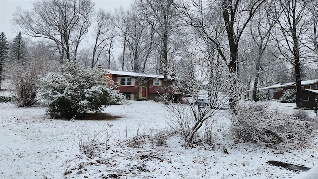 view of snowy yard