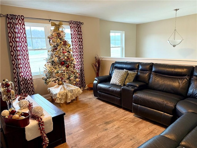 living room with a healthy amount of sunlight and light hardwood / wood-style floors