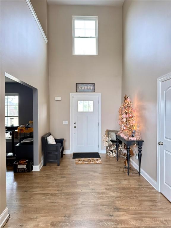 foyer entrance with a wealth of natural light, light hardwood / wood-style flooring, and a high ceiling