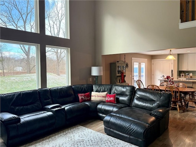 living room featuring a high ceiling, a wealth of natural light, and wood-type flooring