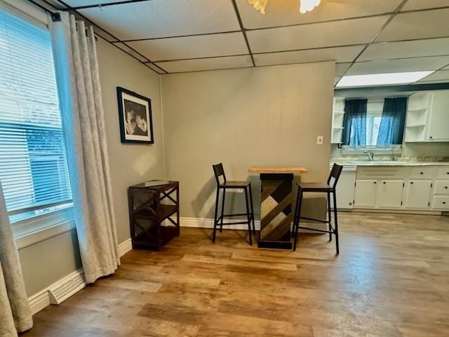 dining room with light hardwood / wood-style flooring and plenty of natural light