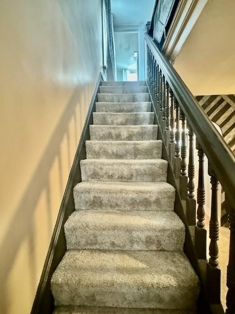 staircase featuring carpet