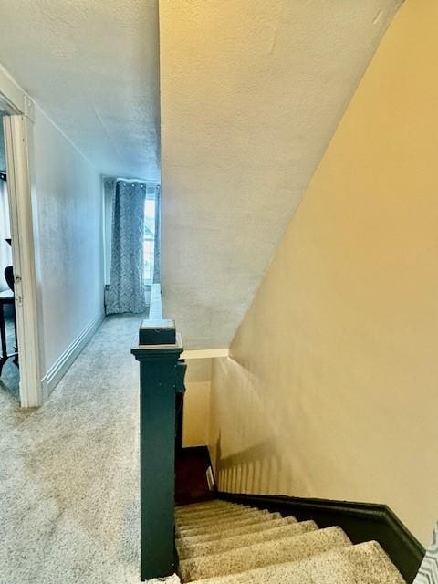 staircase with carpet flooring and a textured ceiling