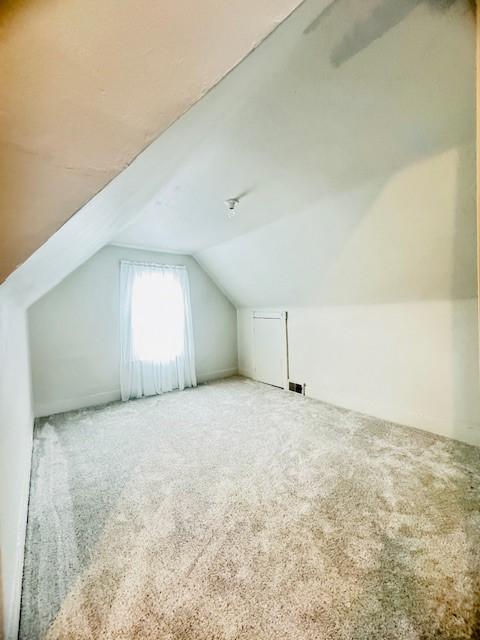 additional living space featuring carpet floors and lofted ceiling