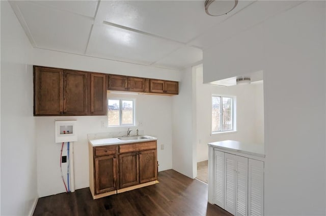 kitchen with dark hardwood / wood-style flooring and sink