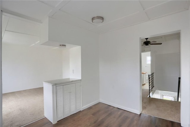 hall featuring dark wood-type flooring