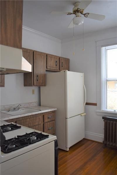 kitchen featuring radiator heating unit, dark hardwood / wood-style floors, white appliances, and sink