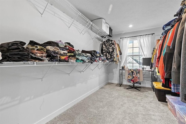 spacious closet with light colored carpet